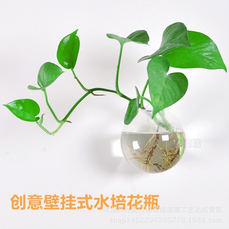 創(chuàng)意壁掛花瓶魚缸 凈化空氣 水培植物玻璃花瓶花器 時尚家居裝飾