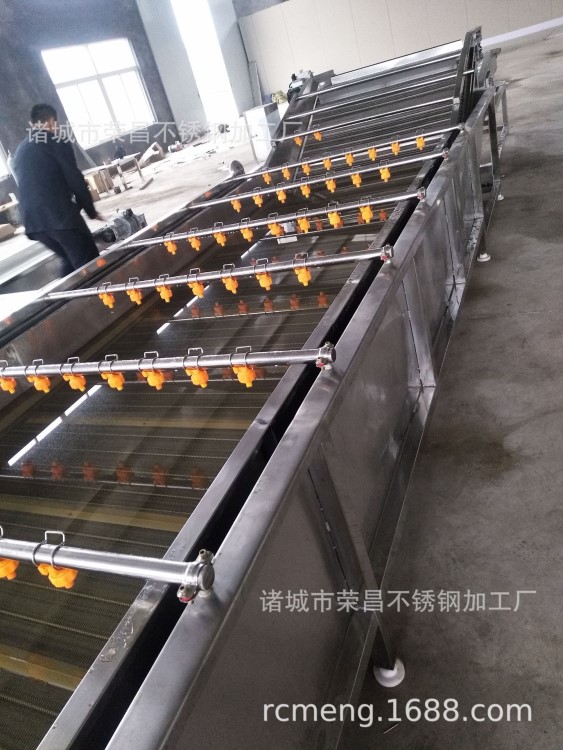 藍莓枇杷山楂清洗設備 氣泡式果蔬清洗機 榮昌提供6米長設備
