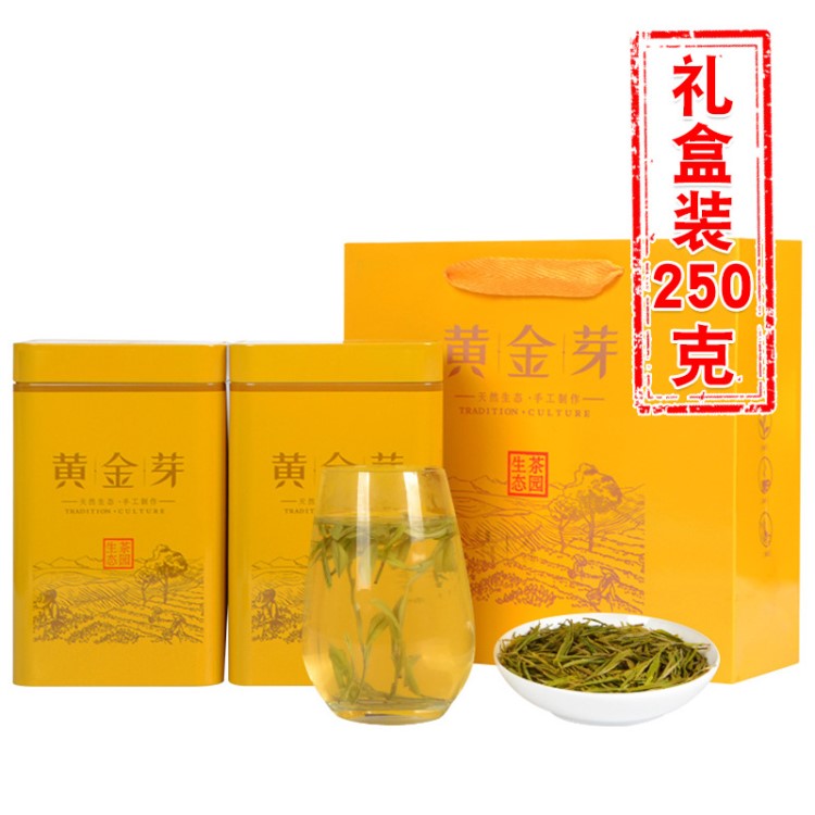 2019雨前新茶特級(jí)黃金芽禮盒裝 黃金葉 原產(chǎn)地直發(fā)