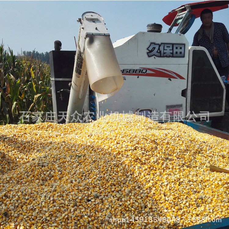 玉米籽粒收獲機 割臺 天眾農(nóng)機 小麥機 水稻車互換玉米割臺福田奇