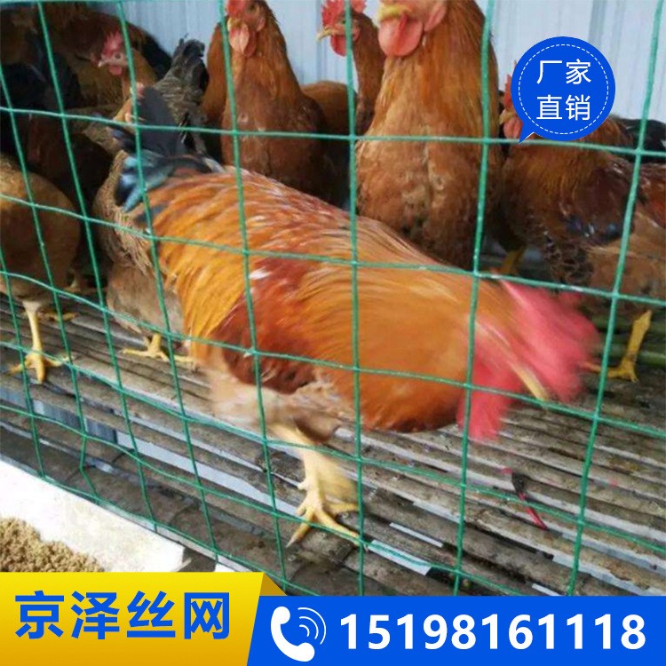 四川成都現(xiàn)貨防護(hù)網(wǎng)養(yǎng)殖園林圈地圍欄網(wǎng)養(yǎng)雞網(wǎng)1.5米高*30米荷蘭網(wǎng)