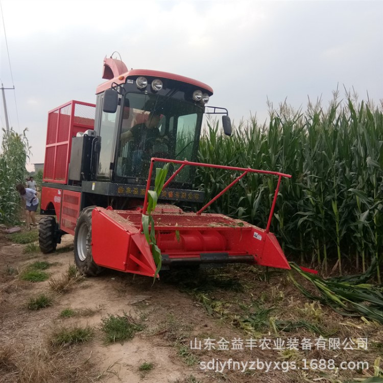 全自動自走式青儲機 養(yǎng)殖專用青飼料收割機 大型青貯玉米收割機