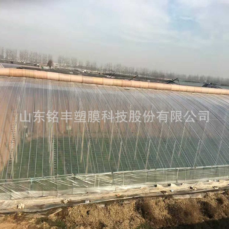 廠家直銷 超陽 EVA薄膜水稻育秧薄膜 專用膜 保溫薄膜 塑料薄膜