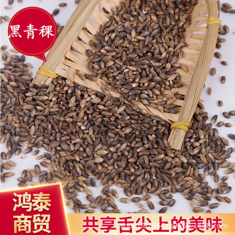 廠家直銷黑青稞仁 西藏去皮黑青稞米 散裝五谷雜糧25kg