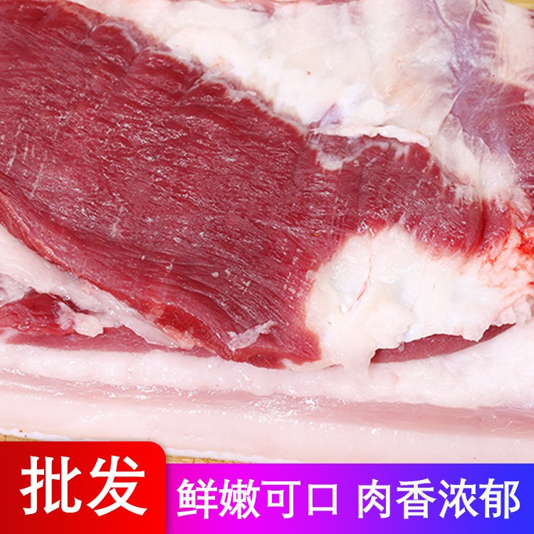 冷凍新鮮一級五花肉廠家批發(fā) 新鮮豬肉肉質(zhì)鮮美