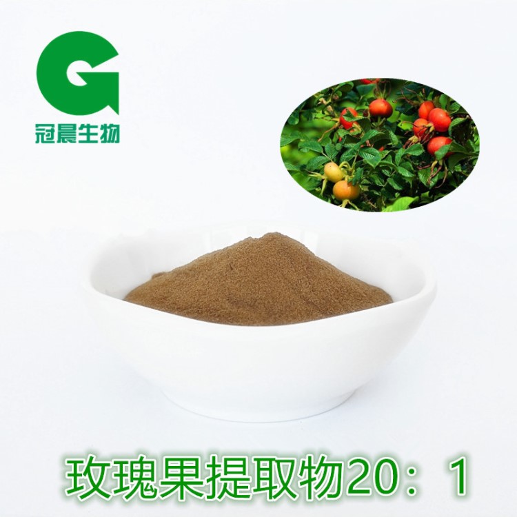 玫瑰果提取物20:1 刺玫果提取物 天然VC粉 冠晨生物 歡迎采購(gòu)