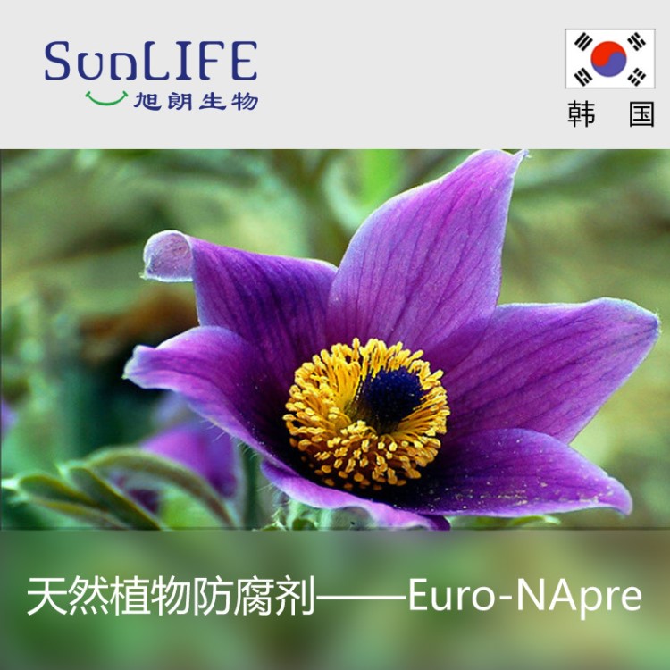 韓國(guó) 白頭翁防腐劑 天然植物防腐劑 防腐劑化妝品 1kg
