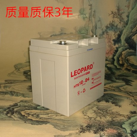 LEOPARD美洲豹 HTS12-24免維護蓄電池 12V24AH原裝 質保包郵