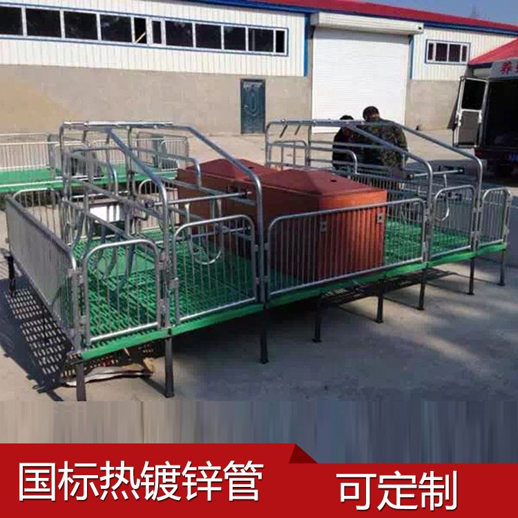 廠家直銷復(fù)合地板母豬產(chǎn)床 分娩床母 母豬復(fù)合板