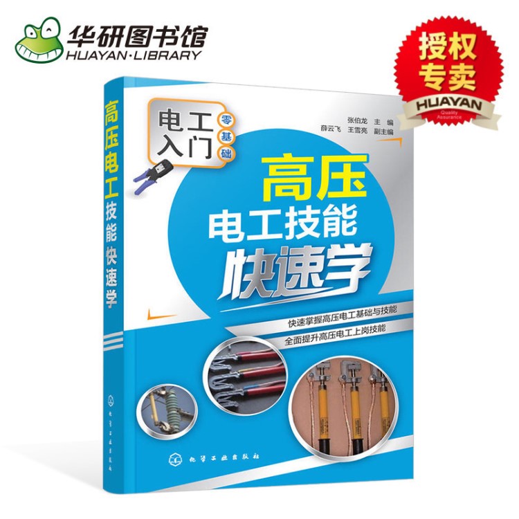 高壓電工技能快速學(xué) 高壓電工基礎(chǔ)知識書籍 電工入門書 培訓(xùn)教材