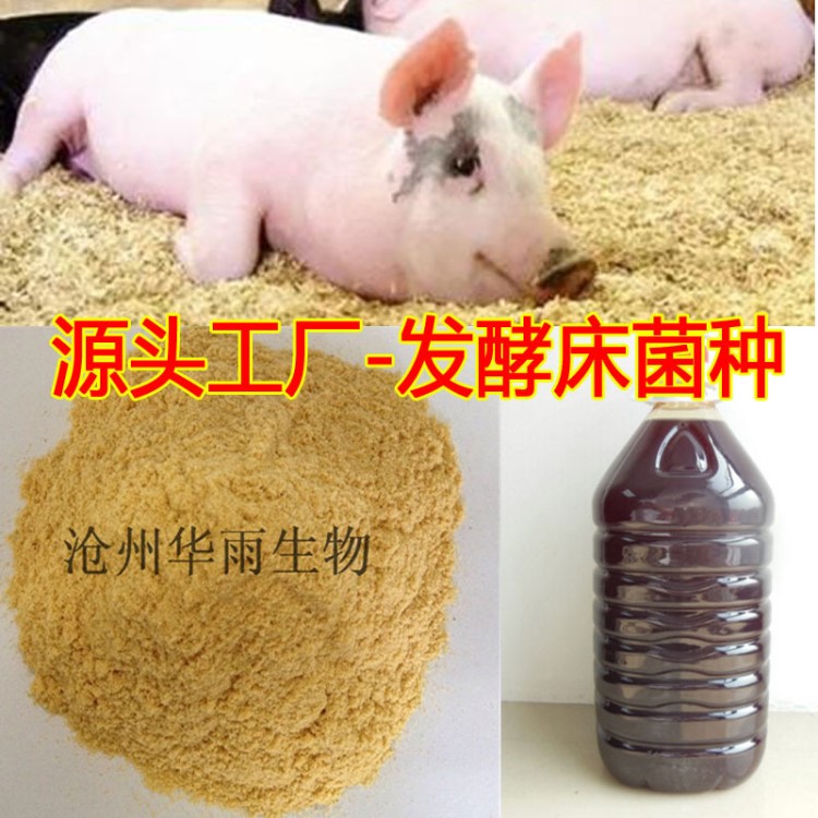 發(fā)酵床墊料發(fā)酵粉 發(fā)酵床菌種 干撒式發(fā)酵床專用菌粉 源頭工廠