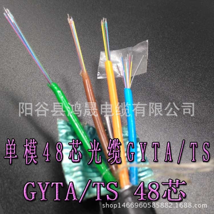 光纤光缆铠装GYTA/TS层绞单模国标4 6 8 12 24 48 64 芯厂价直销