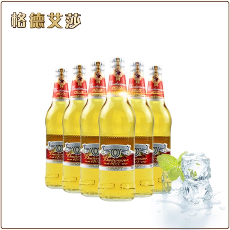 供應(yīng)百威生500ML大瓶啤酒