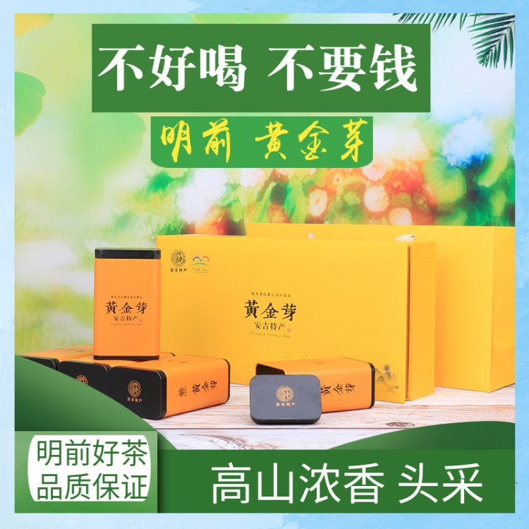 2019新茶黃金芽茶明前特級(jí)安吉白茶散裝黃金葉雨前一級(jí)禮盒裝250g