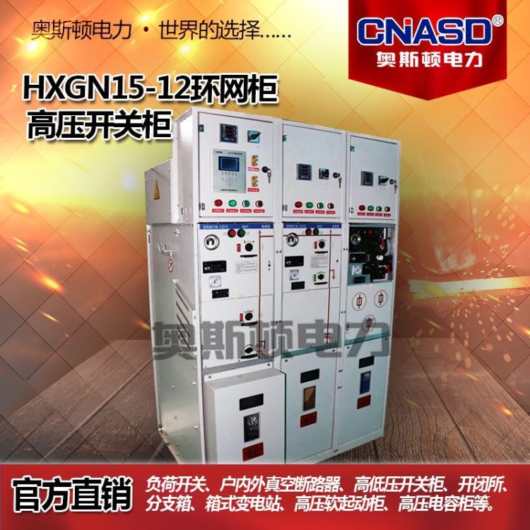 HXGN15/XGN15-12 高壓成套電氣配電開(kāi)關(guān)柜固體環(huán)網(wǎng)柜工程設(shè)備10KV