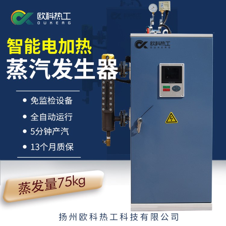 54KW電蒸汽發生器 服裝廠洗滌設備 干洗水洗紡織廠 節能環保