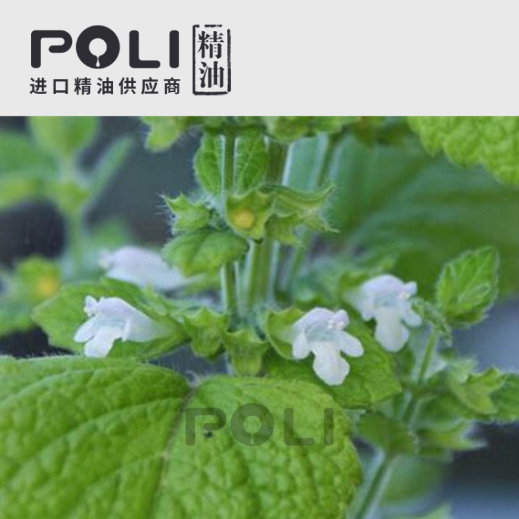 (保加利亞) 香蜂草精油 OEM精油原料灌裝定制批發(fā)【POLI/頗黎】