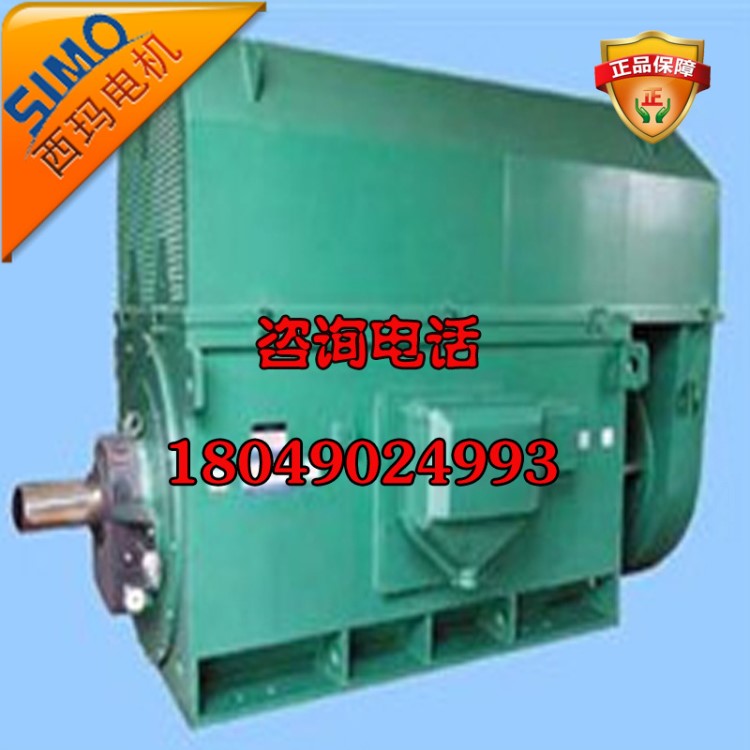 西玛电机YKK系列YKK5001-2  900KW 6KV高压电动机