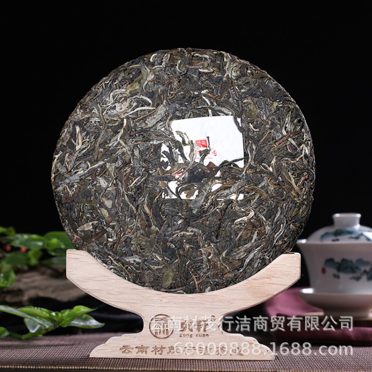 云南茶葉勐海古樹普洱生茶 易武喬木七子餅茶 2019頭春料普洱茶