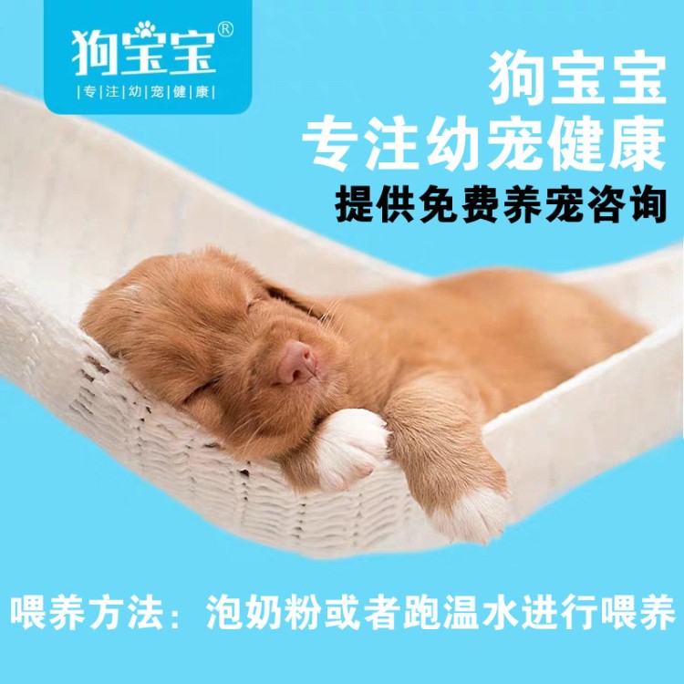 ~~~狗糧幼犬專用~~~小奶狗幼狗1-2到3月離乳期泰迪~~~金毛~~~雪納