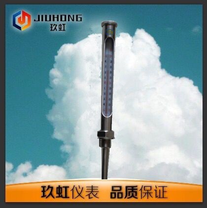 定制WNG-11直形鐵套溫度計,WNG-11直形不銹鋼套溫度計