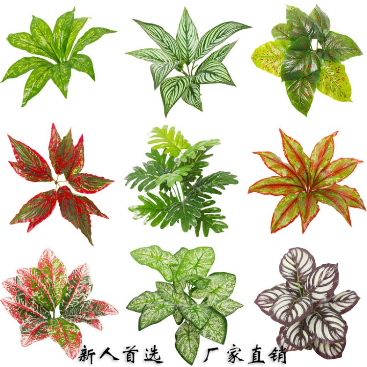 植物墻配材 仿真植物墻塑料假草綠植墻假花客廳背景綠化 裝飾綠植