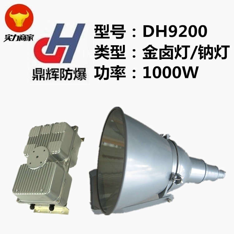 廠家直銷NTC9200B防震型投光燈1000W 大功率防水防塵投射燈具