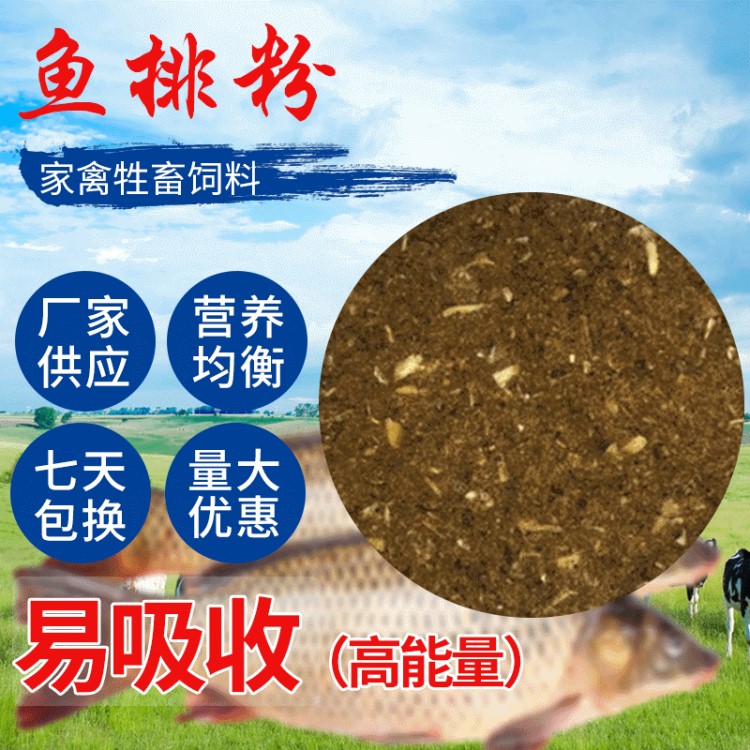 包郵高蛋白飼料級魚排粉 家禽水產(chǎn)動物性飼料 粉末狀飼料級魚粉