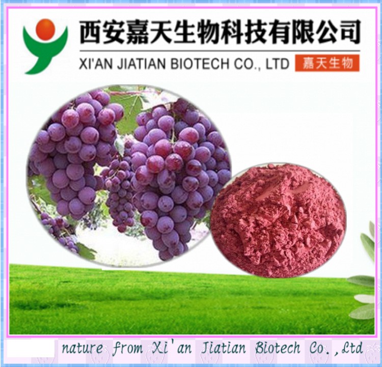 西安紅酒白藜蘆醇10% 葡萄皮提取物 廠家生產供應