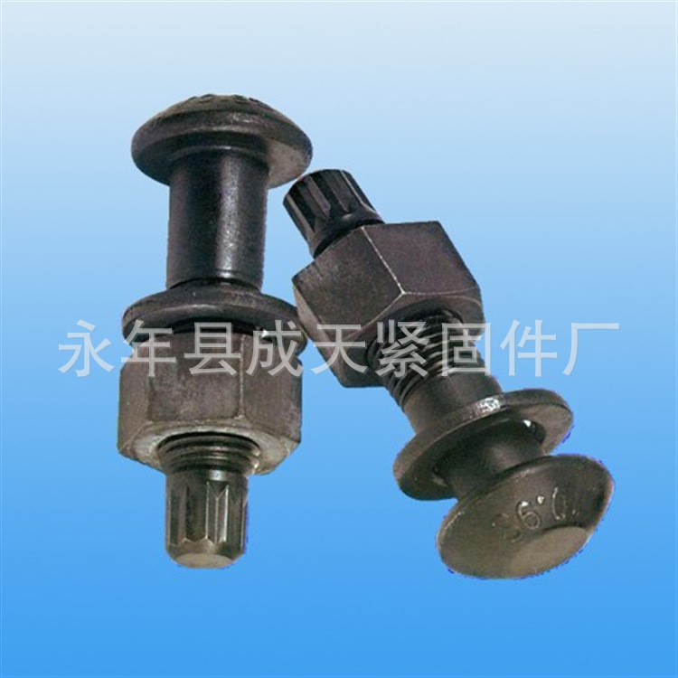 廠家批發(fā)高強(qiáng)度螺絲 扭剪型高強(qiáng)度螺栓連接副 鋼結(jié)構(gòu)扭剪型螺栓