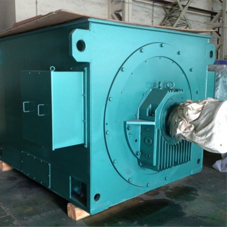 Y710-6/1180/710KW/10000V/IP23籠型高壓電機(jī) 老式Y(jié)系列高壓電機(jī)