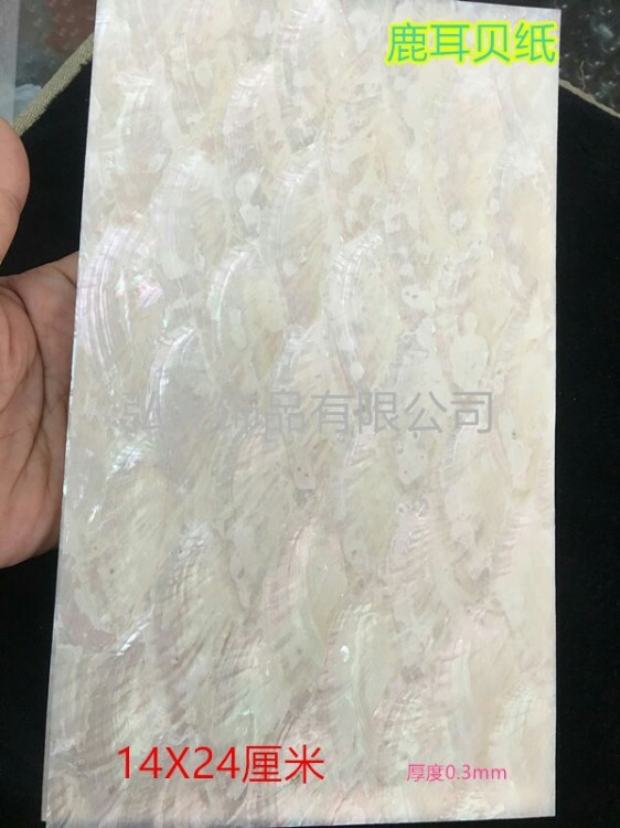 貝殼片廠家直銷鹿耳貝河渤海灣貝扇貝家具工藝品雕花鑲嵌貝殼紙