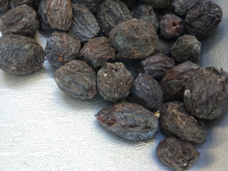 批發黑棗  君遷子  產地直銷價格便宜