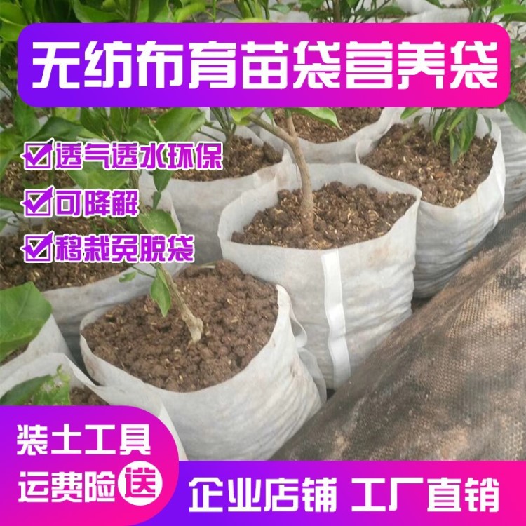 育苗袋果樹(shù)苗簡(jiǎn)易培育種花石斛樹(shù)苗草莓盆蘭花肉植物大號(hào)柑橘雙色
