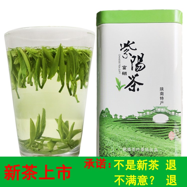 陕西安康紫阳富硒茶250g明前特级毛尖2019新茶春芽银针雀舌散罐装