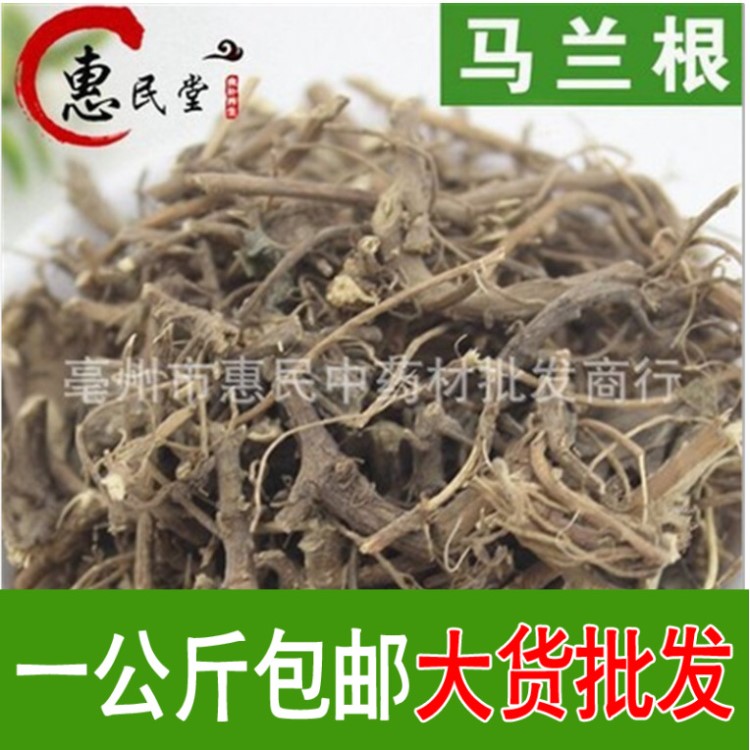 中藥材馬蘭根 大貨 食用農(nóng)產(chǎn)品初加工