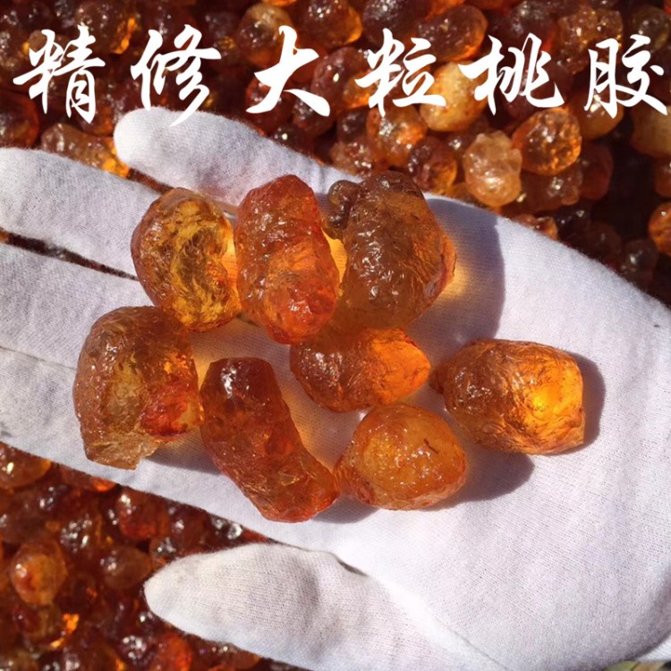 大顆粒野生桃膠產(chǎn)地 批發(fā)天然食用特級養(yǎng)生食材大貨批發(fā)