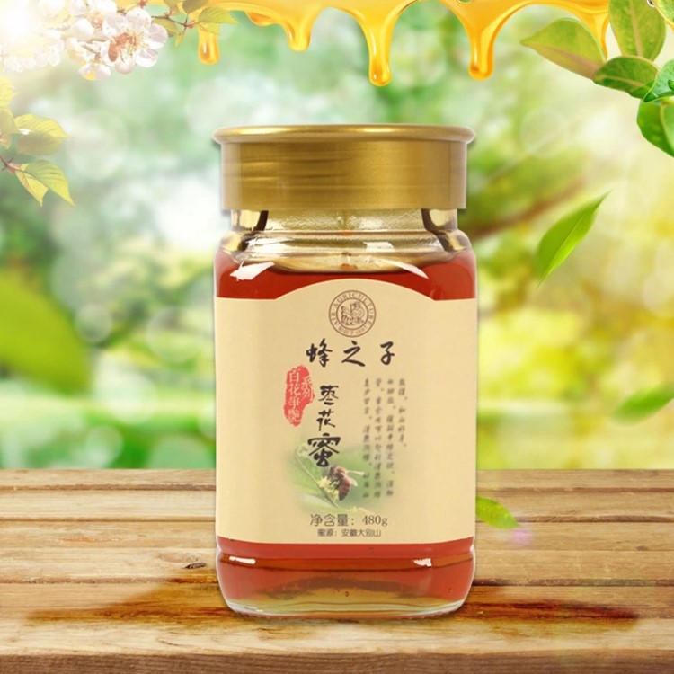 源頭廠家 棗花蜜 480g瓶裝蜂蜜 蜂巢蜜 蜂蜜批發(fā)散裝貼牌代加工