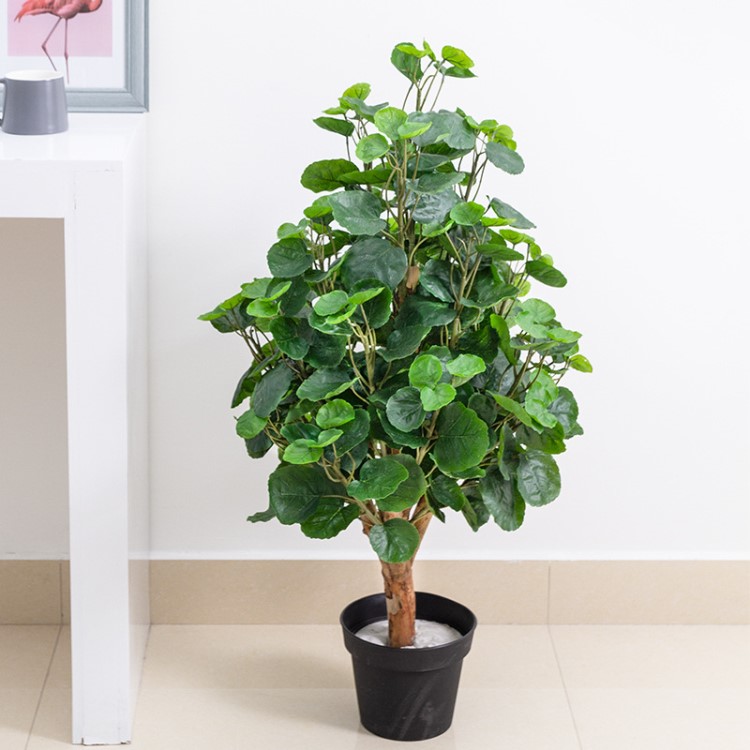 仿真绿植福禄桐盆栽大型树盆景落地摆件仿真植物创意客厅装饰批发