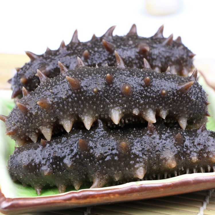 山东特产即食海参500g鲜活高压水发参辽参刺参酒店婚宴会批发