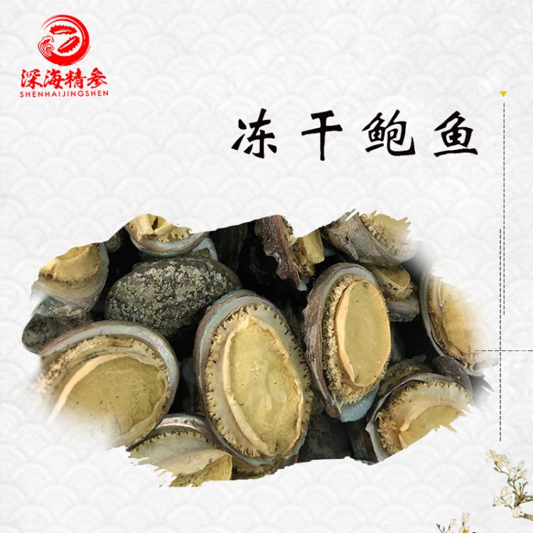 煙臺特產(chǎn)野生大凍干鮑魚帶殼鮑魚干 水產(chǎn)干貨海鮮佳品500g禮盒裝