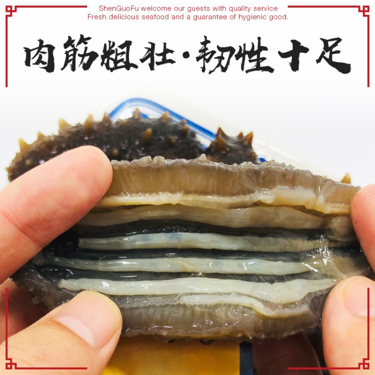 即食海參 大連參國府野生遼刺參鮮活海產開袋即食500g廠家批發