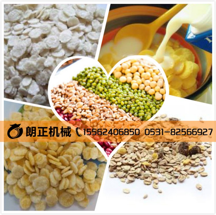 環(huán)保 營養(yǎng)早餐玉米片生產(chǎn)設(shè)備沖泡水果燕麥加工機(jī)械廠家供應(yīng)
