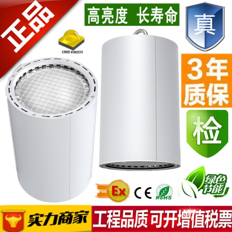 LED明裝筒燈80W防爆吸頂燈100W高鐵火車候車站90W120W150W
