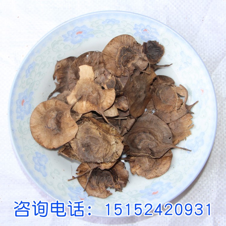 紫檀新采印度小叶紫檀种子 印度紫檀木种子 檀香紫檀种子 包发芽
