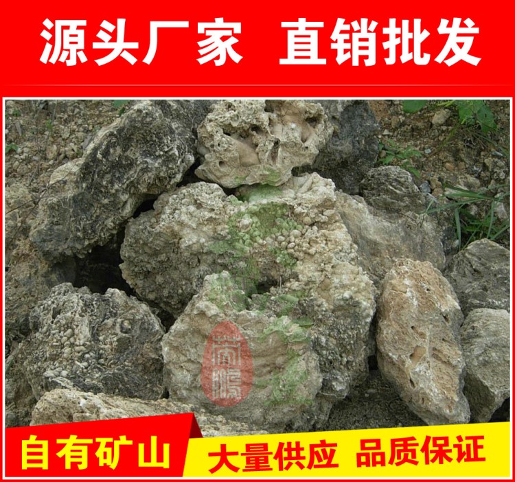 廠家批發(fā)噸位吸水石，上水石假山文化石，四川成都園林石