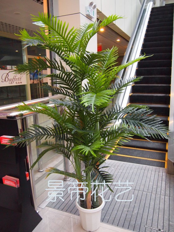 廠家直銷仿真大散尾葵 仿生植物樹銷售過千家居風(fēng)水?dāng)[設(shè)