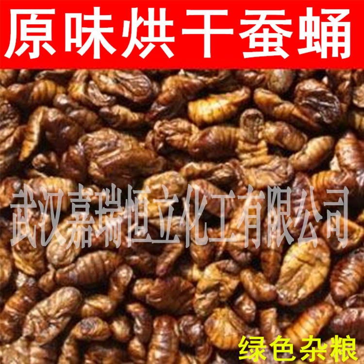 供應(yīng)新鮮烘干蠶蛹，小龍蝦、螃蟹甲魚、泥鰍黃鱔水產(chǎn)魚飼料原料