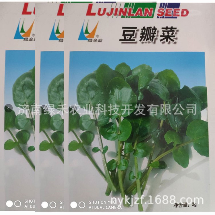 豆瓣菜種子 益腦菜 西洋菜 特菜 野菜種子 特種蔬菜種子 2克一袋