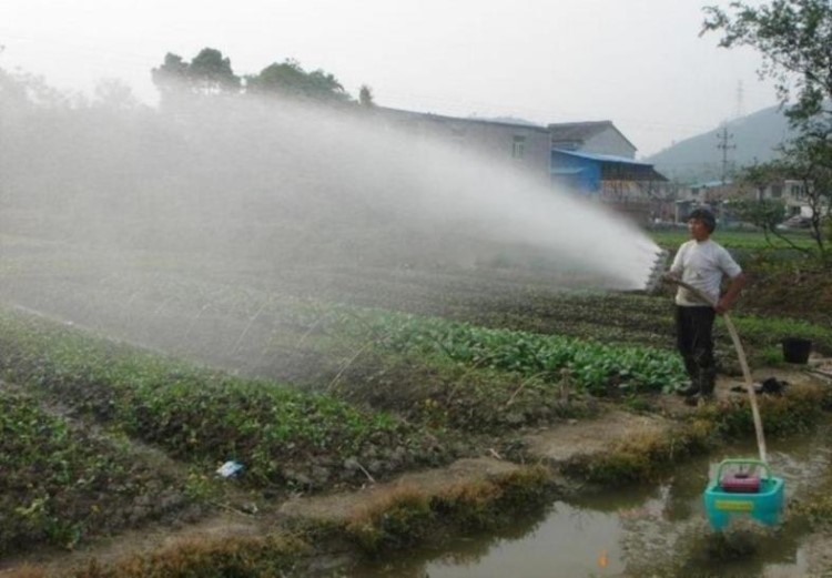 水噴頭大田水泵噴水器家用多頭園林神器特大園藝澆菜田園1寸1.2寸